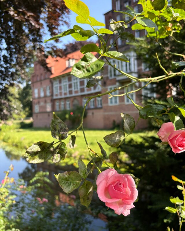 So schön kann Bergedorf sein. 🌿

Historische Kulissen, blühende Natur und kleine Wohlfühlmomente direkt vor der Haustür. 💚

#Bergedorf #HamburgLiebe #Heimatgefühl #NaturGenießen #LieblingsortBergedorf
