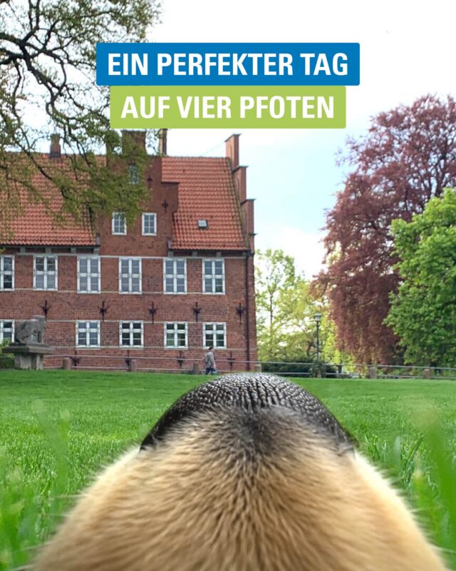 Bergedorf durch die Augen eines Hundes? Genau das zeigt Dir Kalle heute. 🐾 Von spannenden Social Walks über entspannte Café-Pausen bis hin zu den schönsten Hundeplätzen im Bezirk – hier kommt jeder Vierbeiner auf seine Kosten.

Kennst Du noch einen Hunde-Spot in Bergedorf, der unbedingt auf die Liste gehört? 👇

#Hundeleben #BergedorfEntdecken #Hundefreundlich #AusflugMitHund #VierbeinerGlück