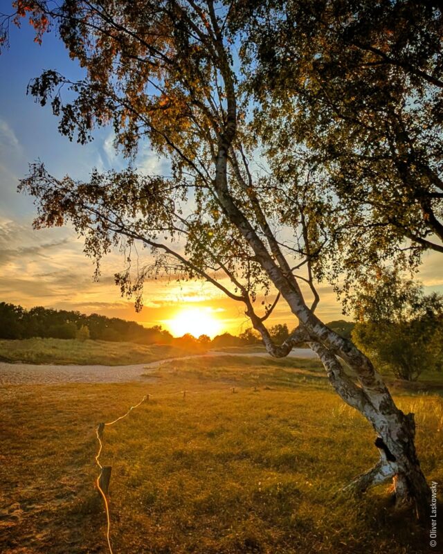 Abendstimmung in den Boberger Dünen 🌾🌅 Weite Sandflächen, goldene Farben und ein Sonnenuntergang, der den Alltag kurz vergessen lässt. Ein echtes Naturjuwel direkt vor unserer Haustür. 💛

📸 Vielen Dank an Oliver Laskowsky fürs Zusenden der schönen Fotos!

#BobergerDünen #Bergedorf #Hamburg #NaturInHamburg #MeinBergedorf