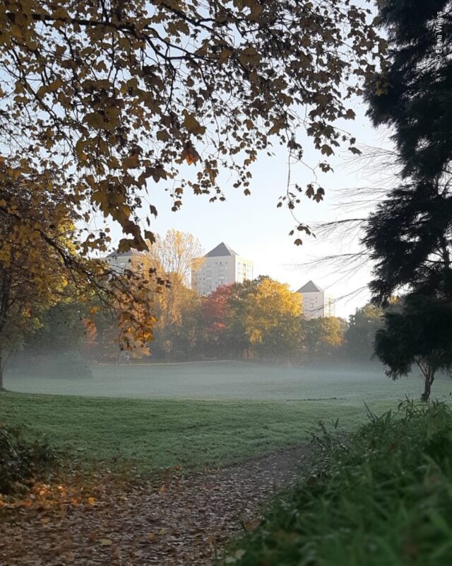 Nein, das ist kein Märchenwald. Das ist Bergedorf! 🍂✨

Wenn die ersten Sonnenstrahlen durch die Bäume brechen, der Morgennebel über den Wiesen liegt und der Herbst alles in goldenes Licht taucht, zeigt sich Bergedorf von seiner vielleicht schönsten Seite. 🍁

Manchmal braucht es eben nur den richtigen Moment, um zu sehen, wie wunderschön unsere Heimat ist. 💚

📸 Ein großes Dankeschön an Elena Wiens für diese traumhaften Aufnahmen!

Und jetzt mal ehrlich: Gibt es eine schönere Jahreszeit für einen Spaziergang? 🍂

#bergedorf #bergedorfergehölz #herbstzauber #morgenstimmung #bergedorfliebe